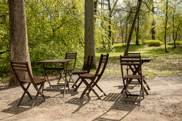 Poster - Outdoor Seating Area With Wooden Chairs and a Table Under Lush Trees in a Park During Springtime