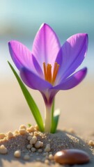 Fototapete - A single purple flower sits atop a sandy beach, with a calm blue sea in the background