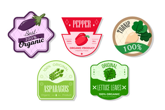 Retro fruits banner and labels. Different juices stickers. Packaging tags with asparagus,pepper,turnip,lettuce leaves. Set of seasonal fruits labels stickers and marks or badges template for packaging