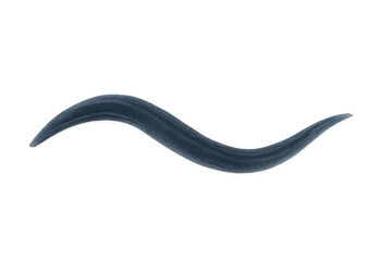 Poster - Dark blue watercolor brushstroke sweeping across transparent surface, conveying fluid artistic movement
