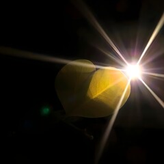 Wall Mural - A heart-shaped leaf is dramatically illuminated by a bright, focused light source, creating a striking contrast against the dark background. The light creates a starburst effect, emphasizing the leaf