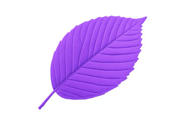 Aufkleber - Purple leaf revealing delicate venation, translucent surface highlighting botanical intricacy and natural elegance