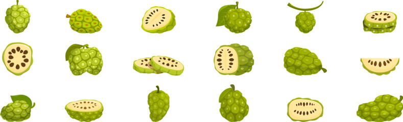 Poster - Noni fruit icons set. Set of noni fruits illustrating whole, halved, and sliced representations of this exotic ingredient