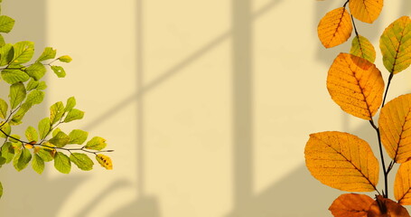 Poster - Image of leaves on branches over shadows on beige wall