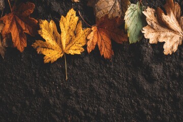 Aufkleber - Colorful autumn leaves resting on dark soil in a serene outdoor setting during fall