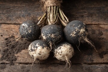Poster - Roots of black radishes freshly harvested from the soil on rustic wooden table