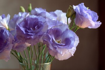 Poster - Purple flowers in a vase enhance indoor decor with their vibrant colors and delicate petals, showcasing natural beauty in a cozy setting