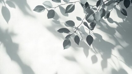 Poster - A close-up view of leaves stuck on a wall