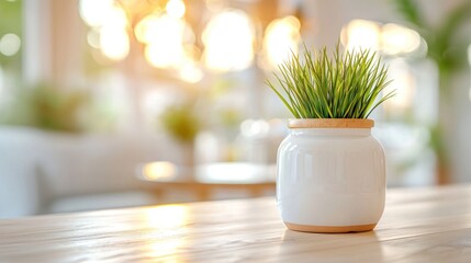 Aufkleber - Green grass plant sits in a white ceramic pot