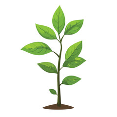 Wall Mural - botanical plant with green leaves icon vector illustration for design