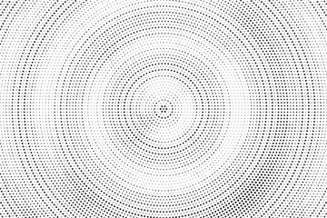 Poster - Radial halftone gradient background. Dotted concentric texture with fading effect. Black and white circle shade wallpaper. Grunge rough vector. Monochrome backdrop