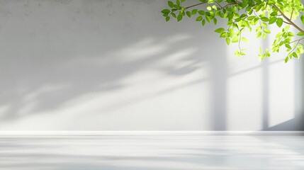Aufkleber - Minimalist room showcases bright sunlight and natural plant shadows