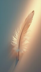 Aufkleber - Bird feather lying down on plain background in studio setting
