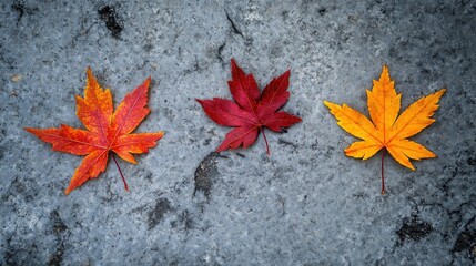 Poster - Three autumn leaves lying on ground in natural setting
