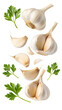 © Mozahidul - A vertical arrangement of garlic bulbs cloves and parsley sprigs on a transparent background image shot