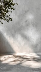 Poster - Minimalist Plaster Wall Studio Background with Sunlight and Subtle Tree Shadows for Art Display