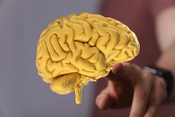 Poster - 3D render of a golden brain.  Concept for intelligence,  innovation, and ideas.