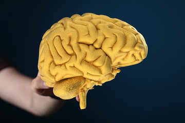 Poster - High-quality stock photo of a golden brain held in a hand, symbolizing intellect and creativity.