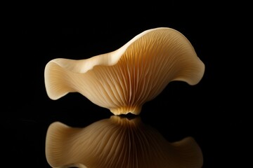 Poster - single brown mushroom with intricate patterns on its cap and stem, reflecting in black background.