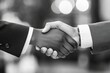 © Watcher - Two Business Professionals Shaking Hands in Black and White, Agreement and Partnership.