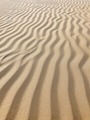  beach carpet, very beautiful beach with light sand, summer vacational background.