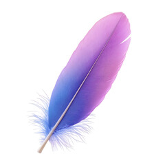 Poster - Beautiful gradient feather in shades of purple and blue showcasing intricate details and soft texture