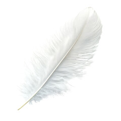 Poster - Elegant white feather resting on a flat surface captures tranquility and natural beauty in a minimalistic style