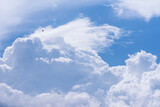 Niebo wypełniają kłębiaste chmury cumulus, wydające się miękkie i teksturowane na tle żywego niebieskiego tła. Widoczne są dwa ptaki, latające pośród chmur. Chmury zapowiadają rychły deszcz.