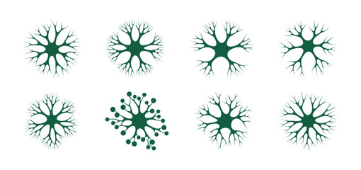 Set of Nerve Cell Neuron Shapes in Medical Green Against White Background