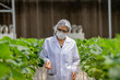 © ultramansk - A researcher examines ripe strawberries in a high-tech greenhouse, monitoring growth and food safety. Sustainable farming techniques and biotechnology improve agricultural efficiency.