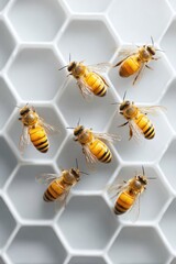 Aufkleber - Modern Business Leadership Concept Featuring Queen Bee and Worker Bees on Geometric Honeycomb Highlighting Hierarchical Teamwork and Organizational Efficiency