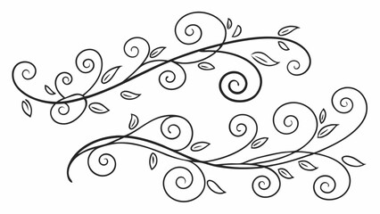 Poster - Elegant flourish design element with swirls and leaves featuring a decorative black vine vector illustration