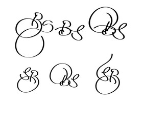 Poster - BS Logo – Elegant Calligraphy Monogram with Interlocked B and S Letters for Premium Branding