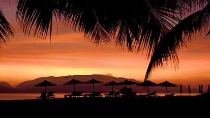 Wall Mural - Early morning light on a public beach with silhouettes of people, sun loungers and assembled sun umbrellas and coconut palms during a beautiful amazing sunrise