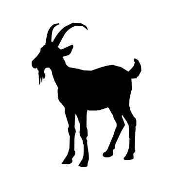 Goat Silhouette Vector Design