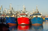 Colorful Fishing Boats Docked in a Chilean Harbor