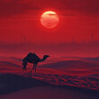 © kristina - Man riding camel in desert.