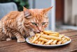 © PNG&Background Image - Portrait of a sneaky cute orange cat trying to lick your French fries on the table with copy space