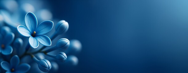 Poster - Blue flower with delicate petals and buds on a smooth gradient background, perfect for copyspace, poster, banner, or template design concept.