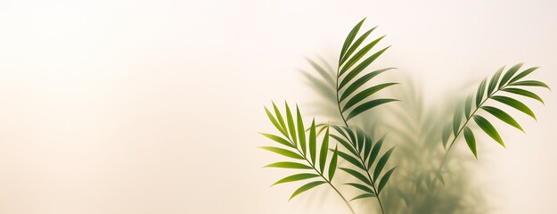 Poster - Tropical green palm leaves casting soft shadows on a beige background with copy space for design, banner, postcard, or advertising concept.