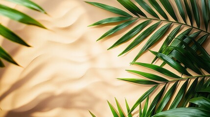 Poster - Top view of vibrant green tropical leaf shadows cast on a sandy surface in a bright tropical setting during daylight
