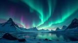 Vibrant aurora borealis dances over a serene, snowy arctic landscape with mountains and a calm lake. Best for nature, travel, and science themes.