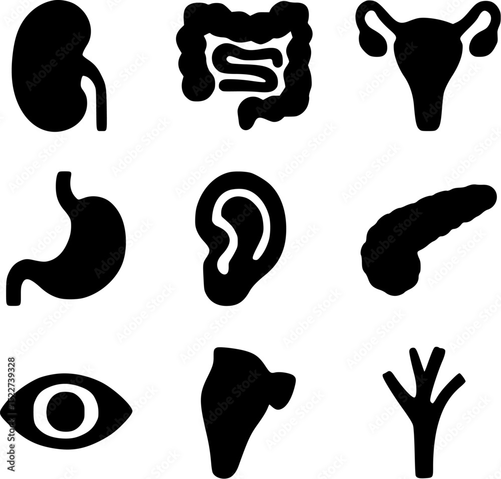 Human Internal Organs and Sense Organs Silhouette Icon Set | Medical ...