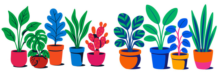 Poster - Colorful array of decorative plants displayed in vibrant pots showcasing indoor gardening creativity
