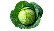 © Feel Good inc. - cabbage