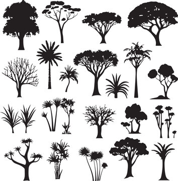 Tree silhouettes. Detailed woodland oak maple deciduous evergreen pine trees, forest landscape element set vector illustration