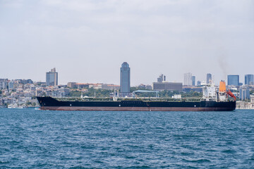 Poster - Bosphorus waterway with cargo ship navigating through urban landscape under clear skies