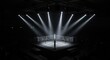 © eric.rodriguez - A dark boxing ring illuminated by bright overhead lights