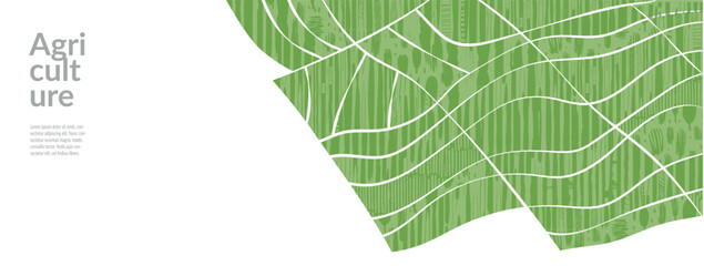 Wall Mural - background pattern with tea field in spring vector green landscape. abstract wheat and rice farm des