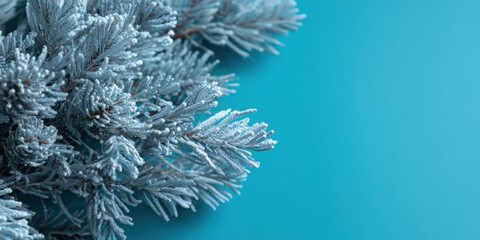 Wall Mural - Close-up of a frost-covered tree branch with ice crystals against a clear blue sky background.
